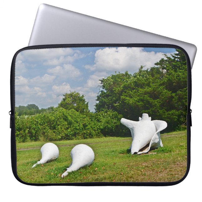 Capa Para Notebook Bolsa de laptop de Shell (Frente)