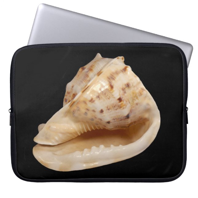 Capa Para Notebook Bolsa de laptop do Conch Shell (Frente)