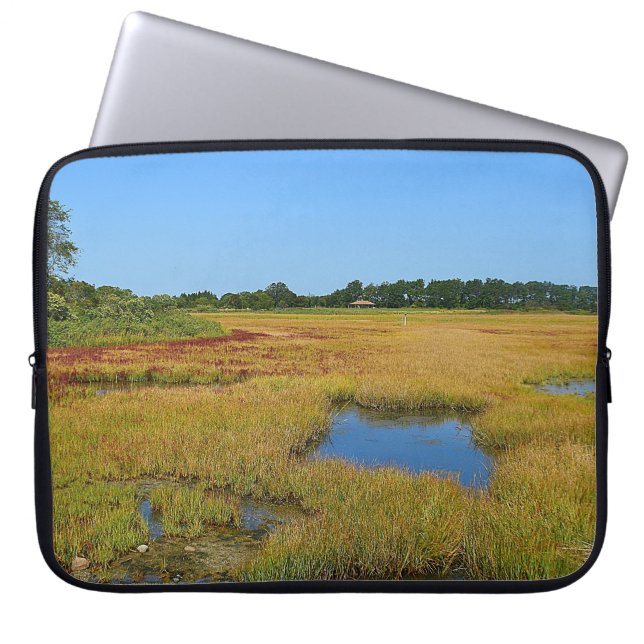 Capa Para Notebook Bolsa de laptop Marsh de Saltwater (Frente)