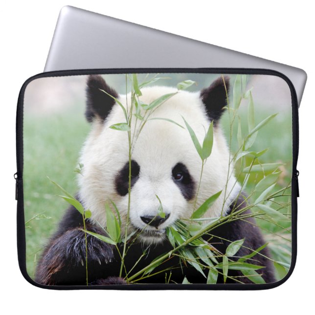 Capa Para Notebook bolsa de laptop Panda gigante fotográfico, animais (Frente)