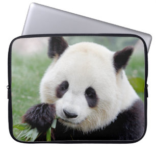 Capa Para Notebook bolsa de laptop Panda gigante fotográfico, animais