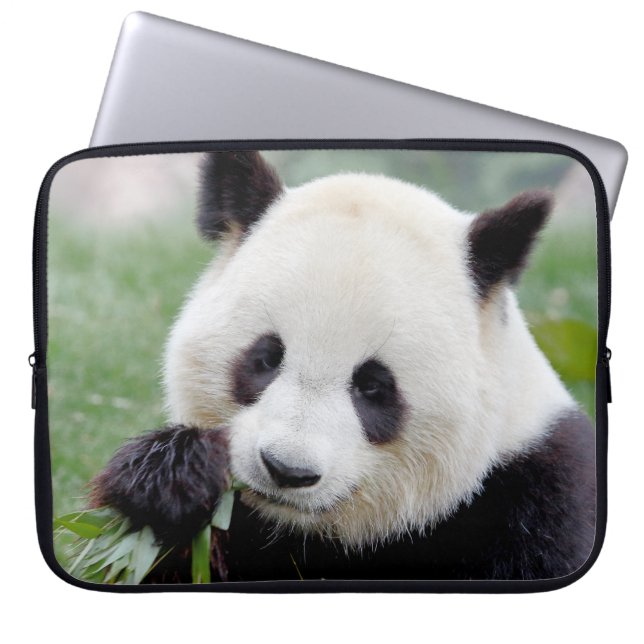 Capa Para Notebook bolsa de laptop Panda gigante fotográfico, animais (Frente)