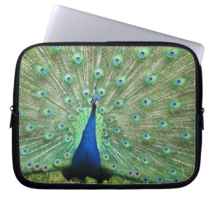 Capa Para Notebook bolsa de laptop - Pavão