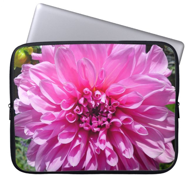 Capa Para Notebook Bolsa de laptop Púrpura da Flor Dhalia Rosa (Frente)