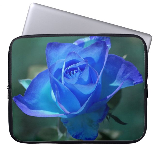 Capa Para Notebook Bolsa de laptop Rosa azul de dois tons (Frente)