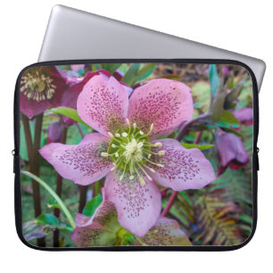 Capa Para Notebook Bolsa de laptop Rosa de inverno Hellebore