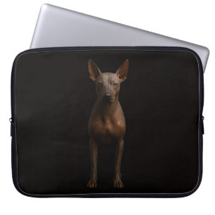 Capa Para Notebook Bolsa para Laptop Black 4 Luxe, Cão Pila Argentina