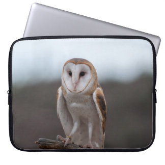Capa Para Notebook Bolsa para Laptop Coruja