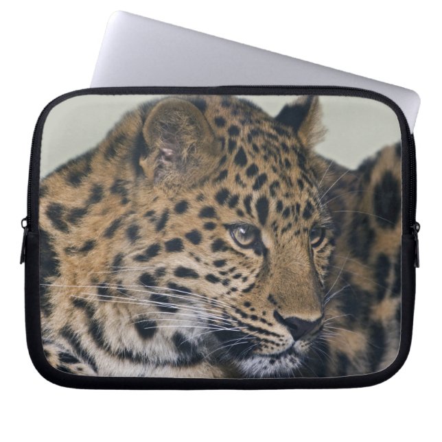 Capa Para Notebook Bolsa para Laptop Kiska (Frente)