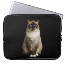 Bolsa para Laptop Preta 4 Luxo, Gato Birmanês