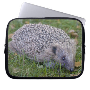 Capa Para Notebook Bolsa para Laptop Prickles