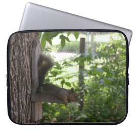 Capa Para Notebook Bolsas de laptop de esquilo