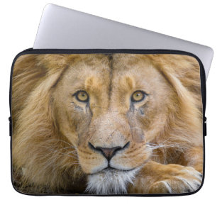 CAPA PARA NOTEBOOK BOLSAS DE LAPTOP LION