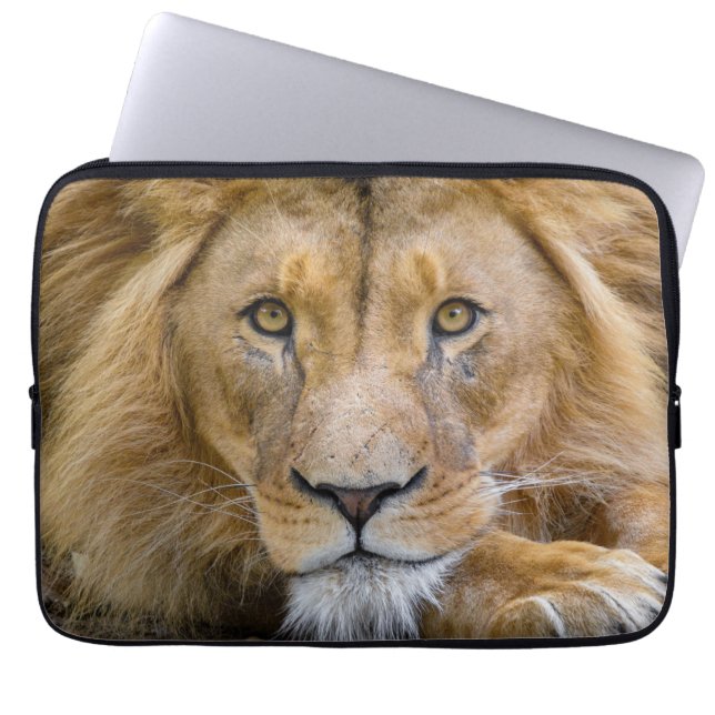 CAPA PARA NOTEBOOK BOLSAS DE LAPTOP LION (Frente)