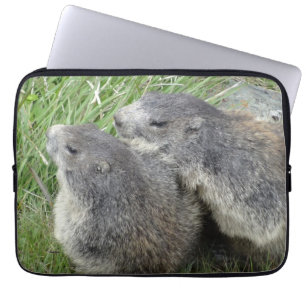 Capa Para Notebook Bolsas de laptop Marmots