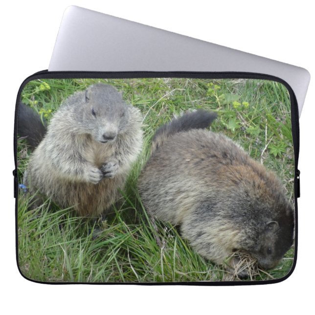 Capa Para Notebook Bolsas de laptop Marmots (Frente)