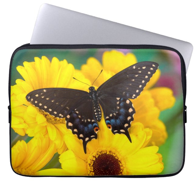 Capa Para Notebook Borboleta Rabo-de-Andorinha-preta (Frente)