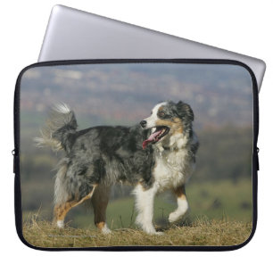 Capa Para Notebook Border collie que arfa 2
