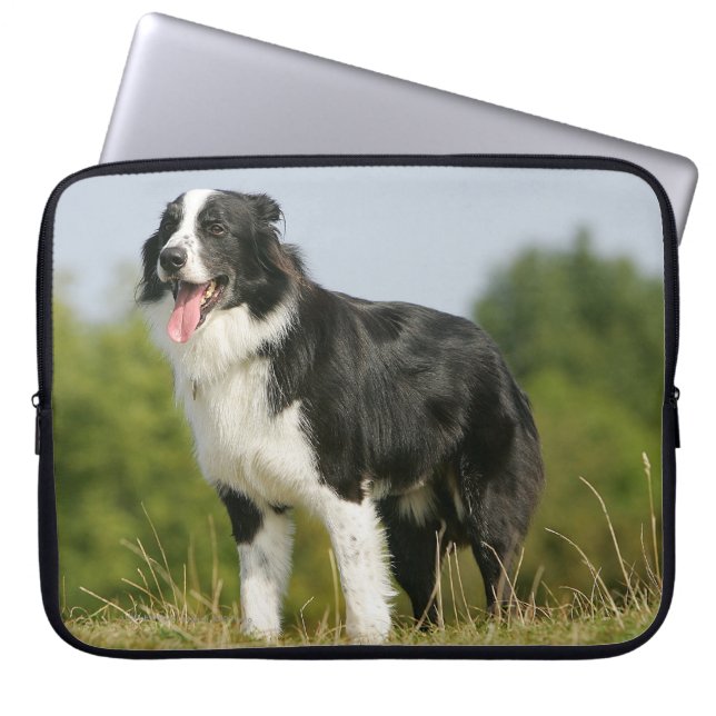 Capa Para Notebook Border collie que arfa estar (Frente)