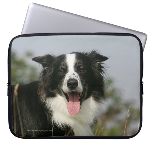 Capa Para Notebook Border collie que arfa o Headshot 1 (Frente)