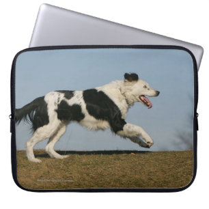 Capa Para Notebook Border collie que funciona 2