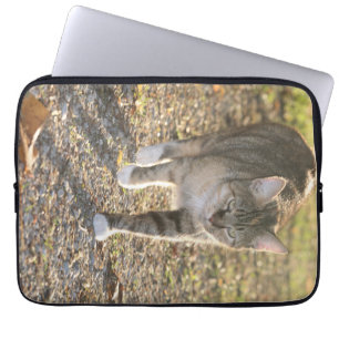 Capa Para Notebook Brin