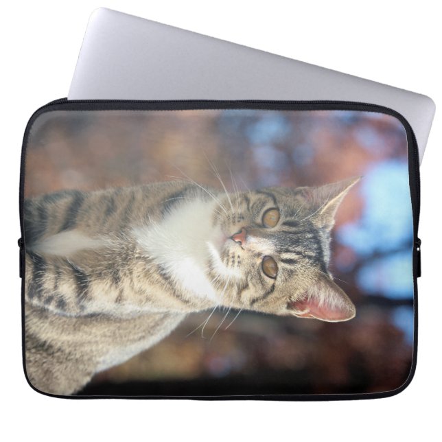 Capa Para Notebook Brin (Frente)