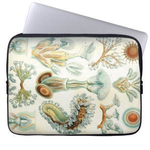 Capa Para Notebook Bryozoa de Haeckel