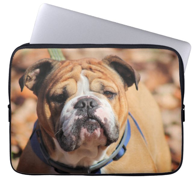 Capa Para Notebook Buddy Bulldog (Frente)