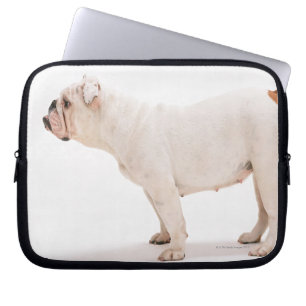 Capa Para Notebook Buldogue