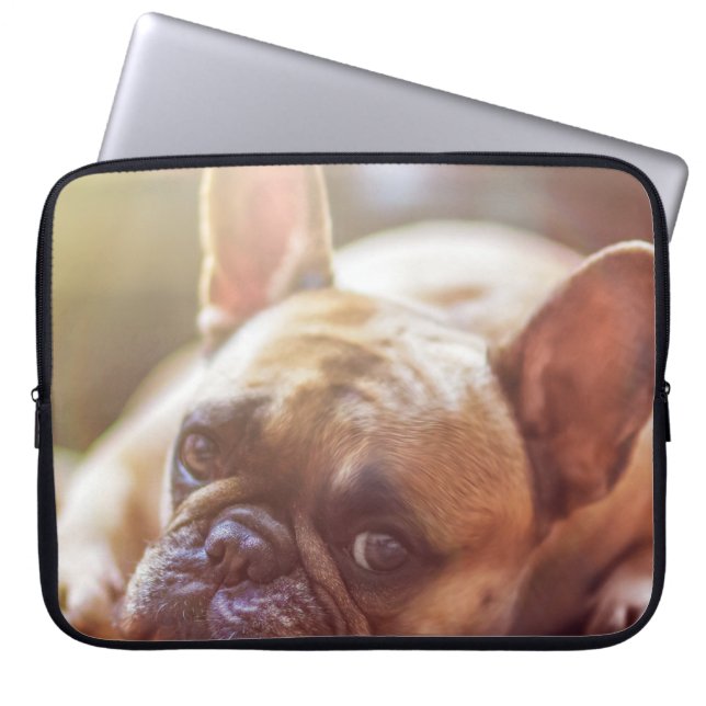 Capa Para Notebook buldogue francês (Frente)