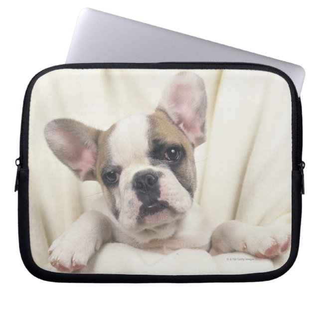 Capa Para Notebook Buldogue inglês (Frente)