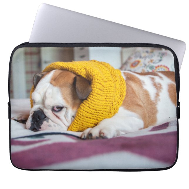 Capa Para Notebook Buldogue inglês das imagens | de Getty (Frente)