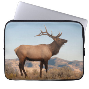 Capa Para Notebook Bull Elk perto de Mammoth Wyoming