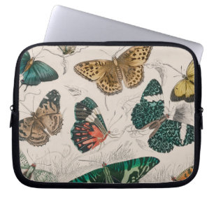 Capa Para Notebook butterfly collection antique watercolor art butter