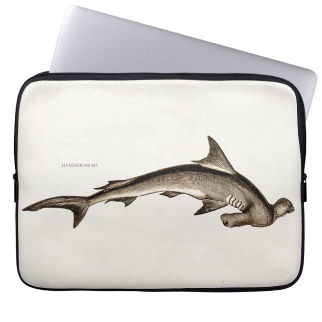 Capa Para Notebook Cabeça de martelo velha do tubarão de Hammerhead (Frente)
