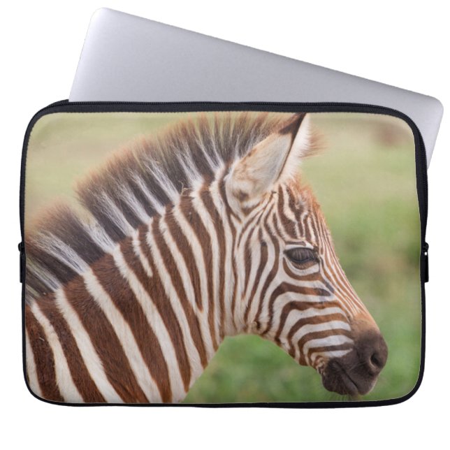 Capa Para Notebook Cabeça de zebra bebê, Tanzânia (Frente)