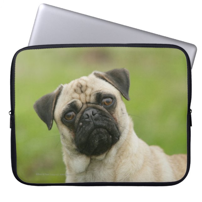 Capa Para Notebook Cabeça do Pug armada olhando a câmera (Frente)