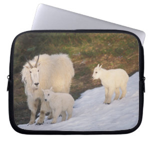 Capa Para Notebook cabras montesas