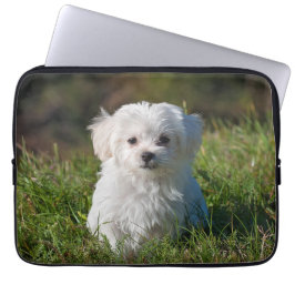 Capa Para Notebook Cachorro branco branco liso Maltês Cachorro