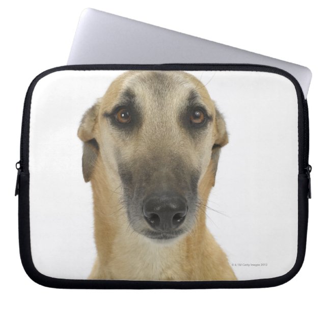 Capa Para Notebook Cachorro em branco 41 (Frente)