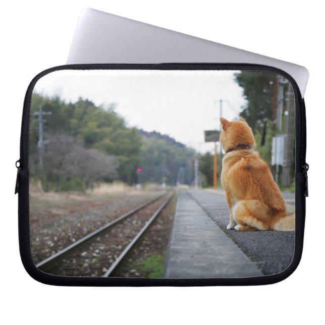 Capa Para Notebook Cachorro sentado na estação de trem (Frente)