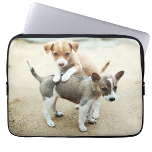 Capa Para Notebook Cachorros bonitos brincando na praia