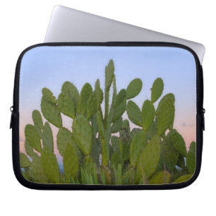 Capa Para Notebook Cactos e sisal na Floresta Seca