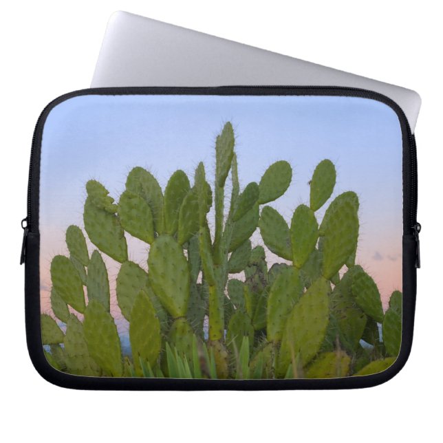 Capa Para Notebook Cactos e sisal na Floresta Seca (Frente)