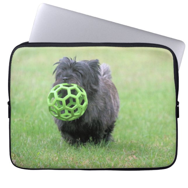 Capa Para Notebook Cairn terrier (Frente)