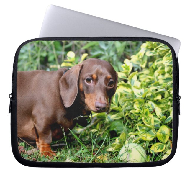 Capa Para Notebook caixa bonito do laptop do dachshund (Frente)