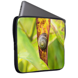 Capa Para Notebook calma