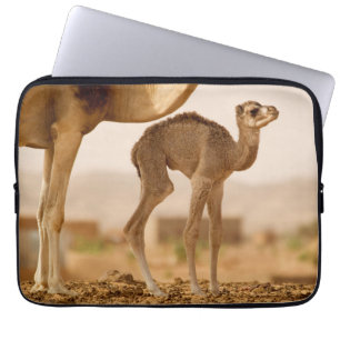 Capa Para Notebook Camelo bebê