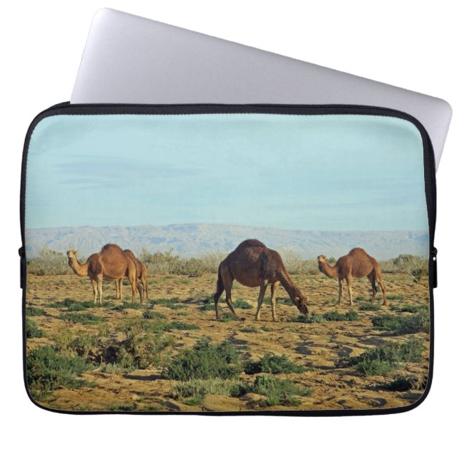 Capa Para Notebook Camels, Tunísia (Frente)